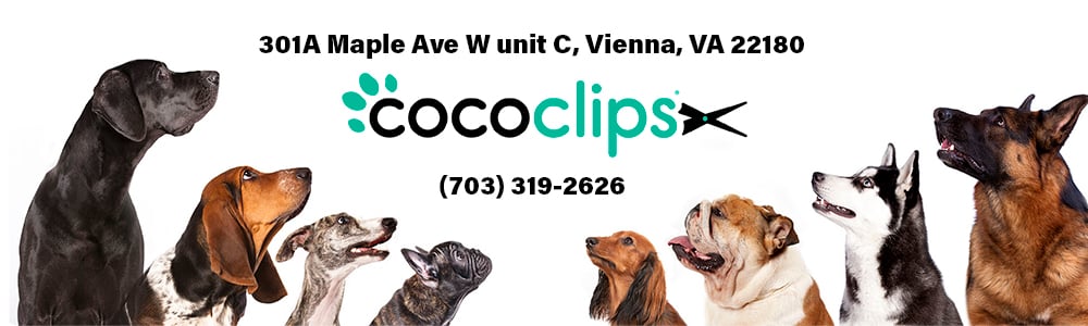 Coco Clips Dog Grooming